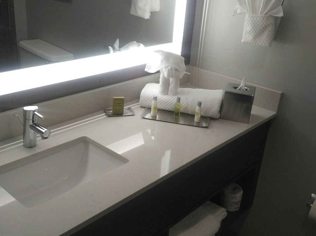 DoubleTree by Hilton St. Paul East主图