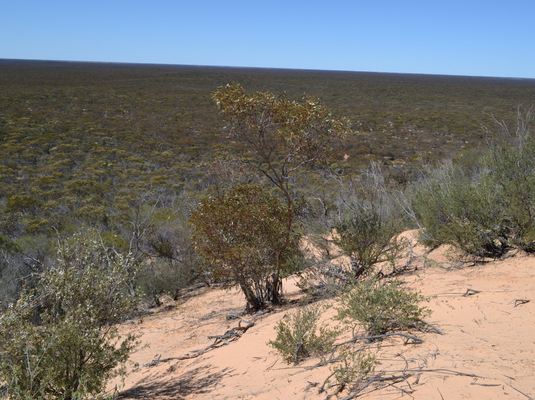Mallee Tours-Ouyen必去景点
