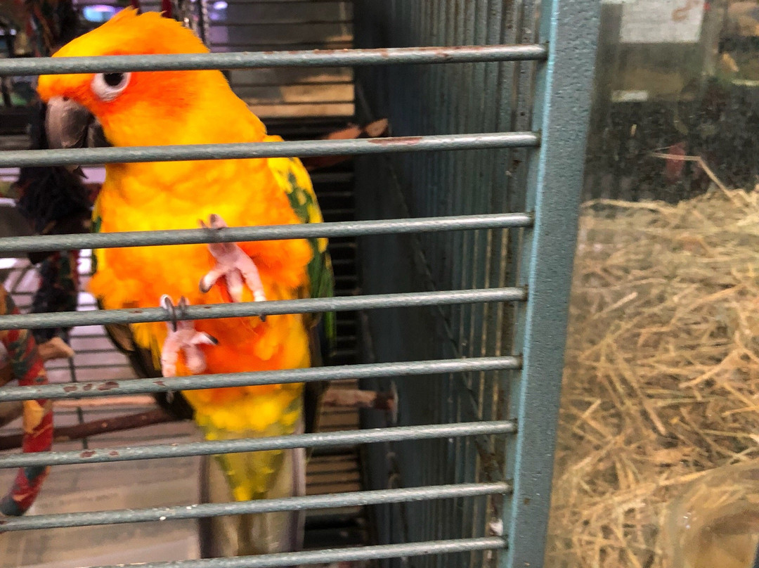 Urban Safari Rescue Society-素里必去景点