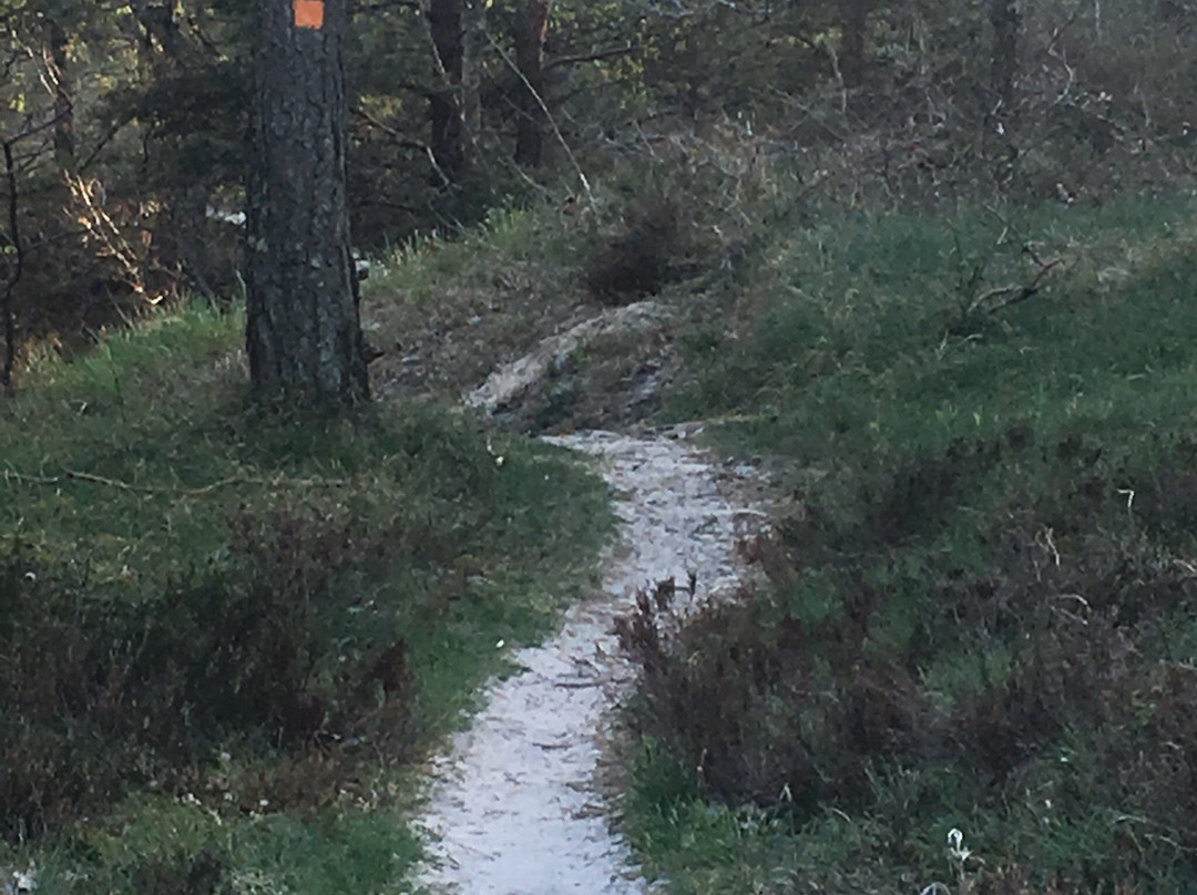 Skaneleden SL 4 / Osterlenleden-于斯塔德必去景点