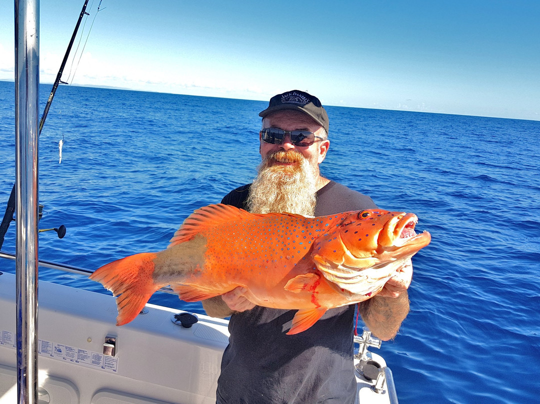 Reef Fish & Dive 1770-Agnes Water必去景点