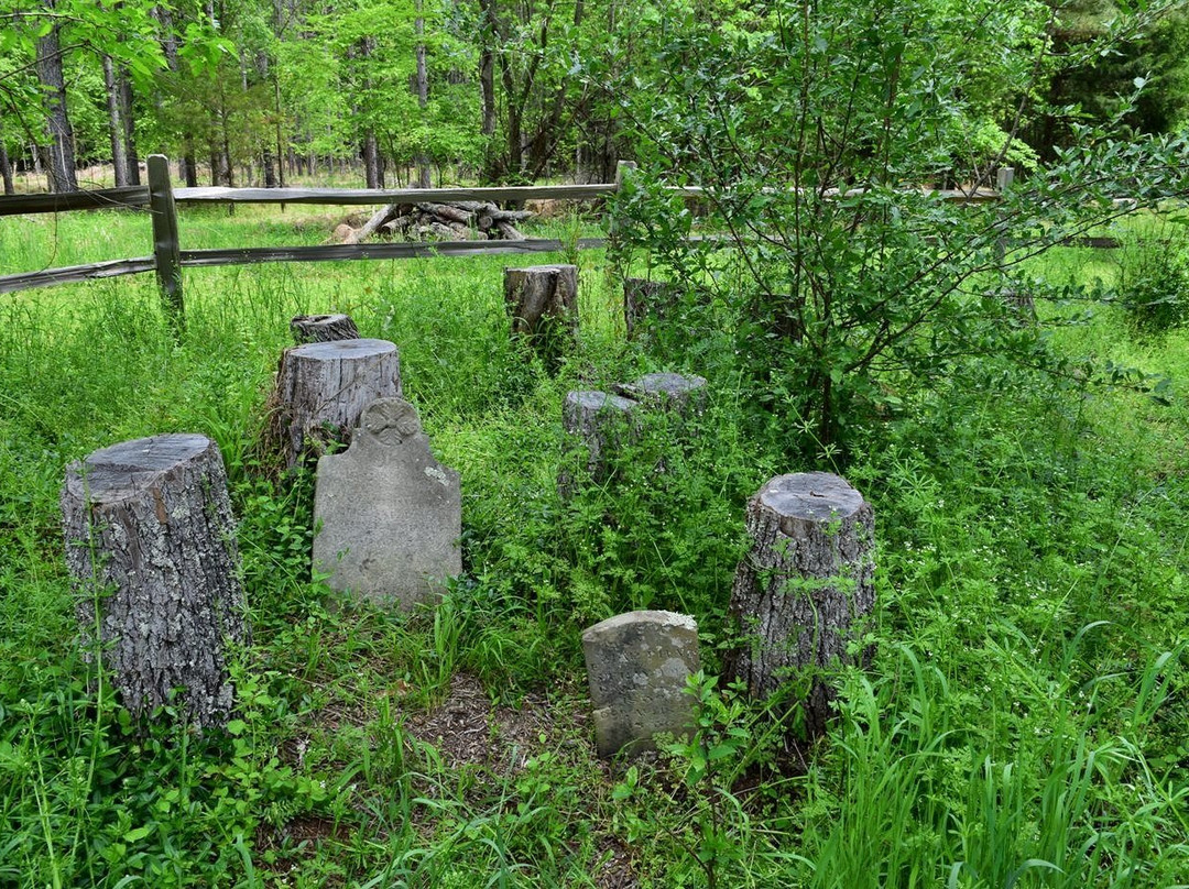 Brumley Forest Nature Preserve-教堂山必去景点