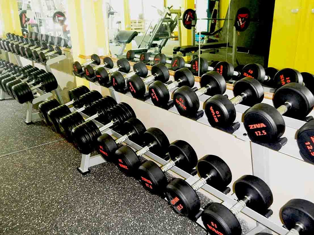 Dolphin Fitness-象岛必去景点