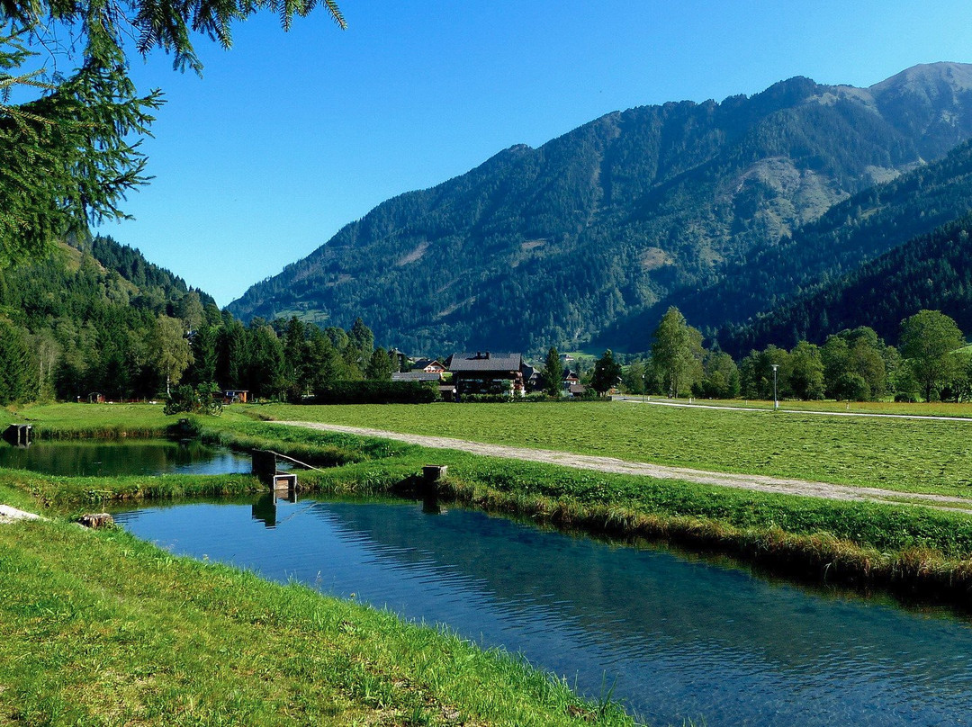 Gasthof Pension Appartements Zur Gams主图