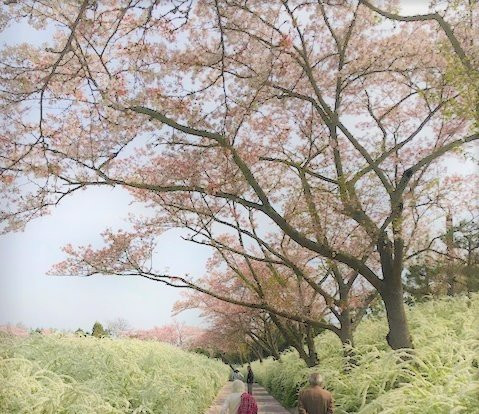 Aichi Greenery Center-丰田市必去景点