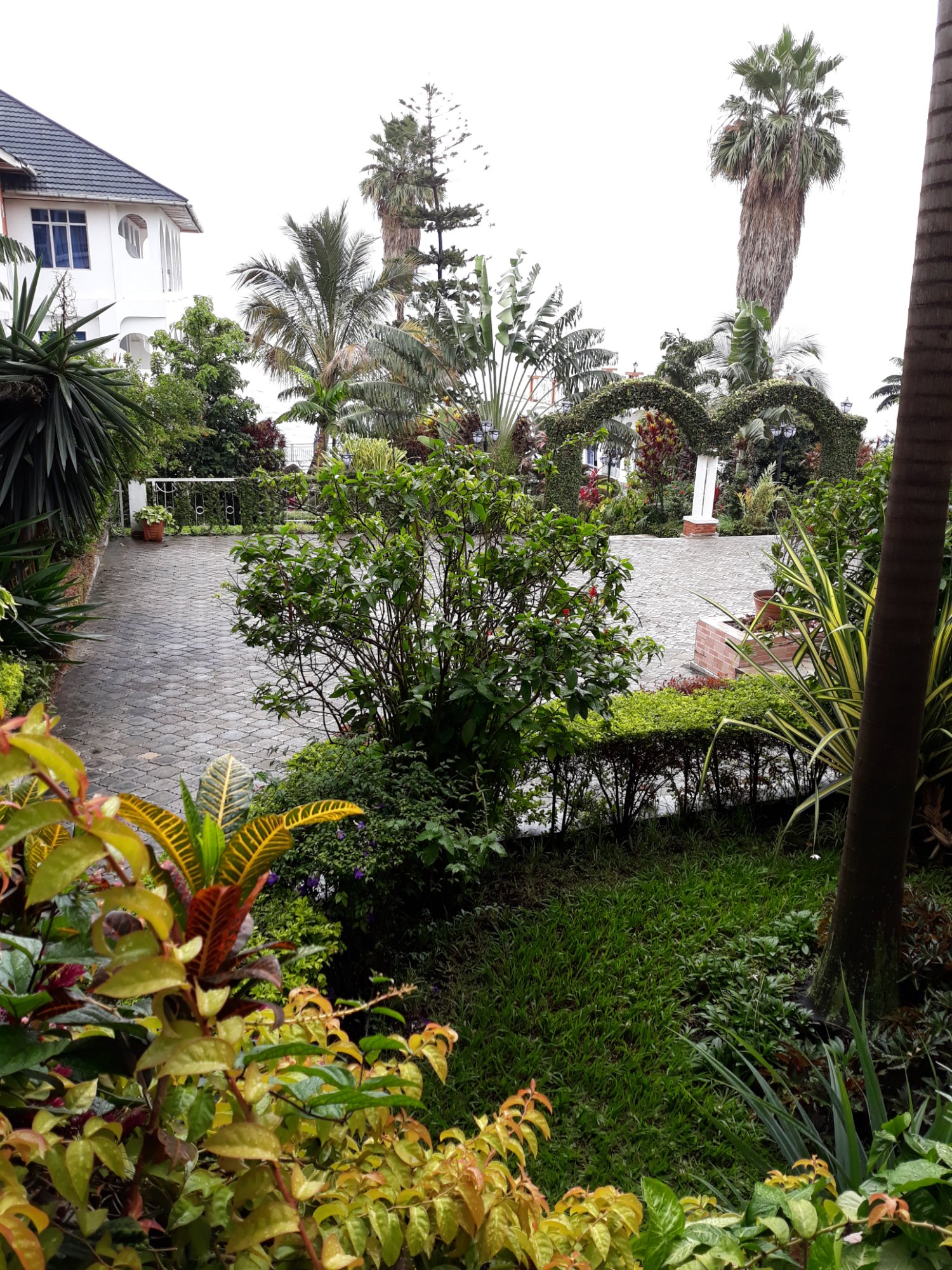 Cap Kivu Hotel-酒店景观
