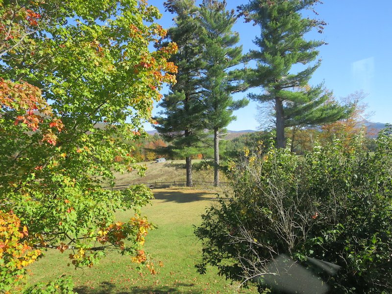 Bark Eater Inn-酒店景观