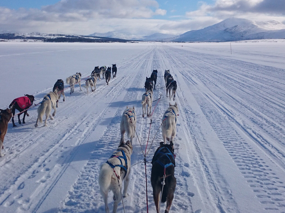 The Howling Dog Farm景点图片