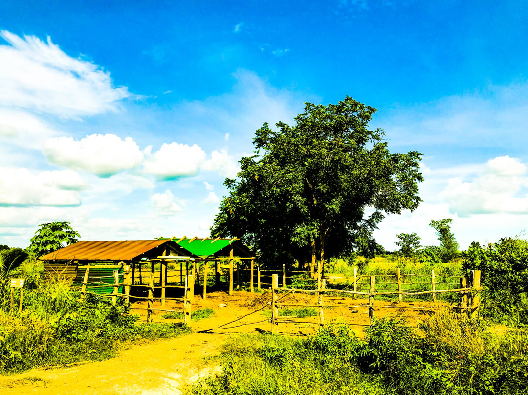 Kralanh旅游景点-SvayChek Organic Farm