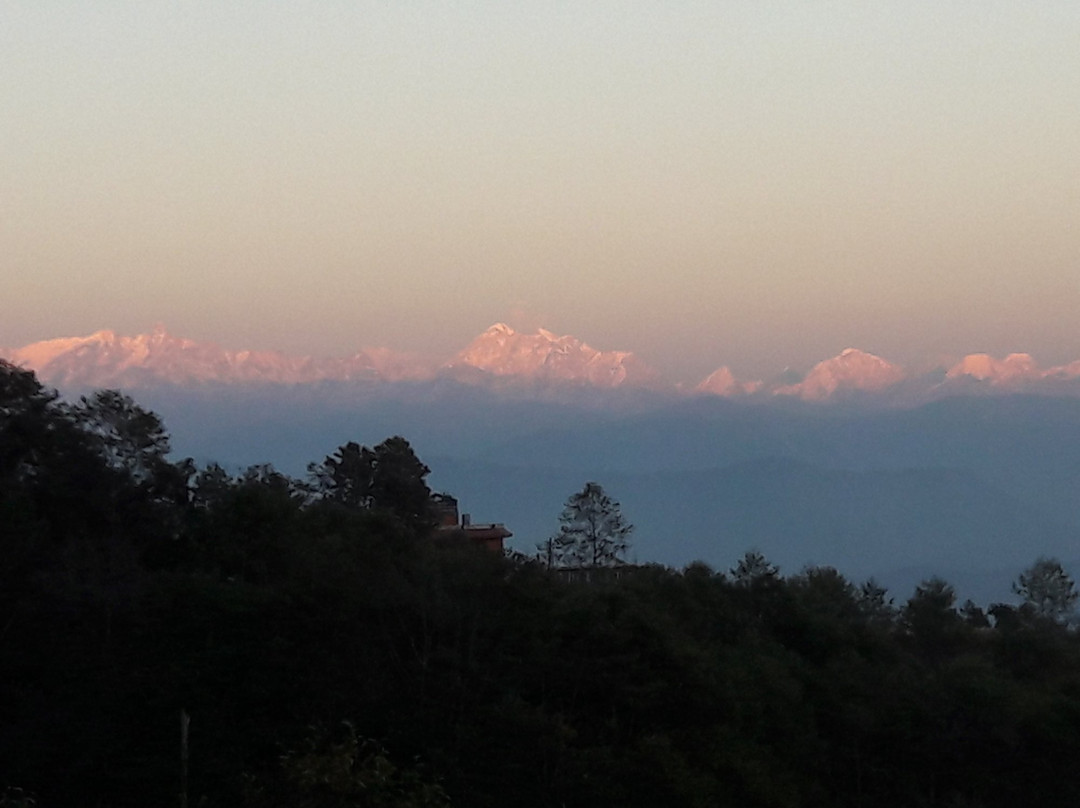 Hotel Greenland主图