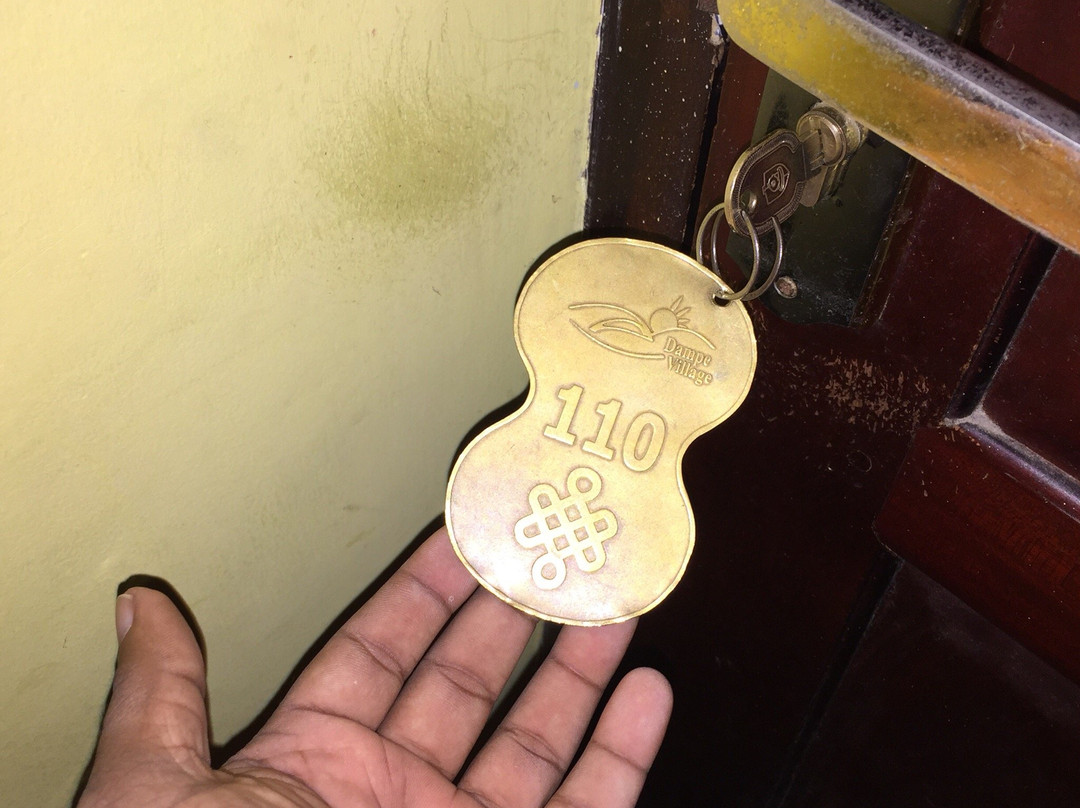 Dampe Village Hotel主图