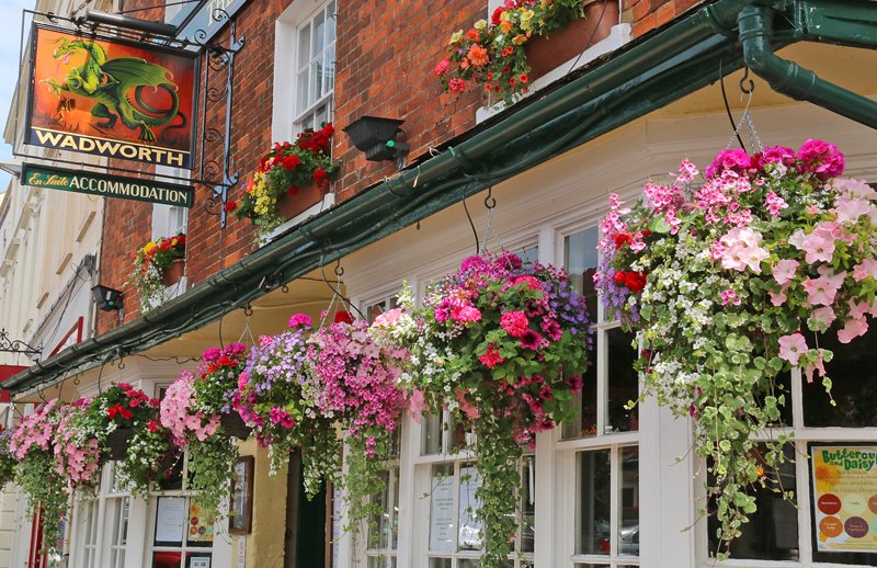 Green Dragon Marlborough-官方