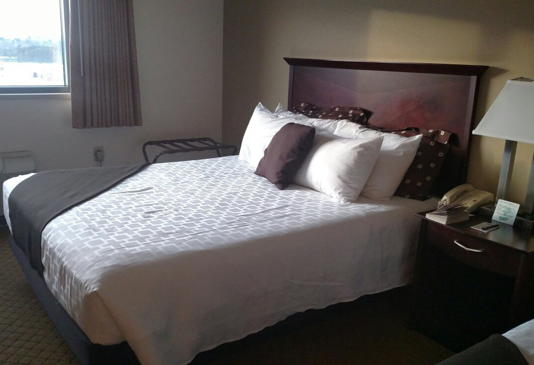 Island Resort & Casino主图