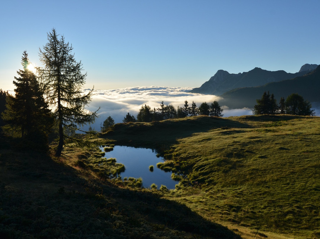 Peintnerhof - Heilsame Landschaft主图