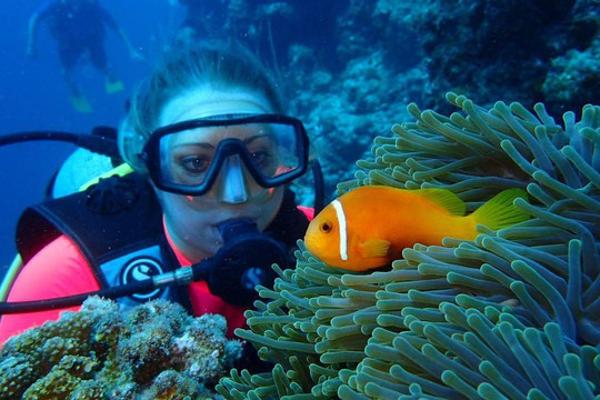 Divers Lodge Maldives-马累必去景点