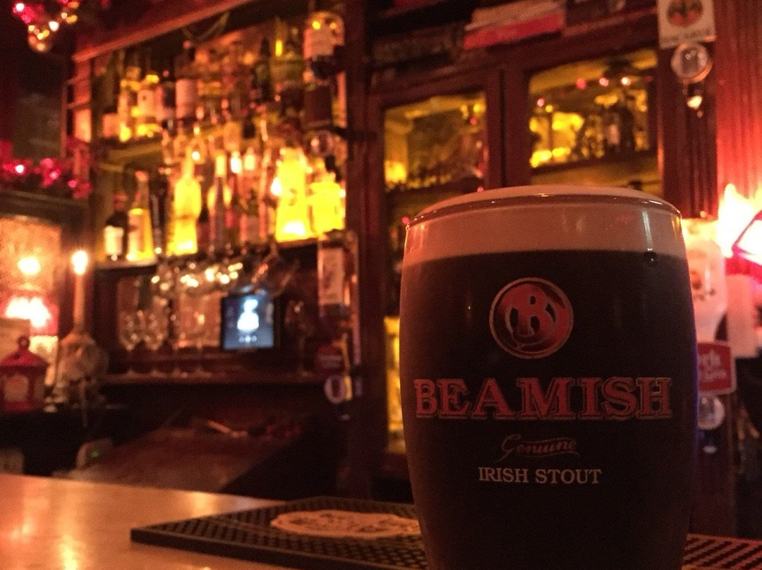 Tom Collins Pub-利默里克必去景点