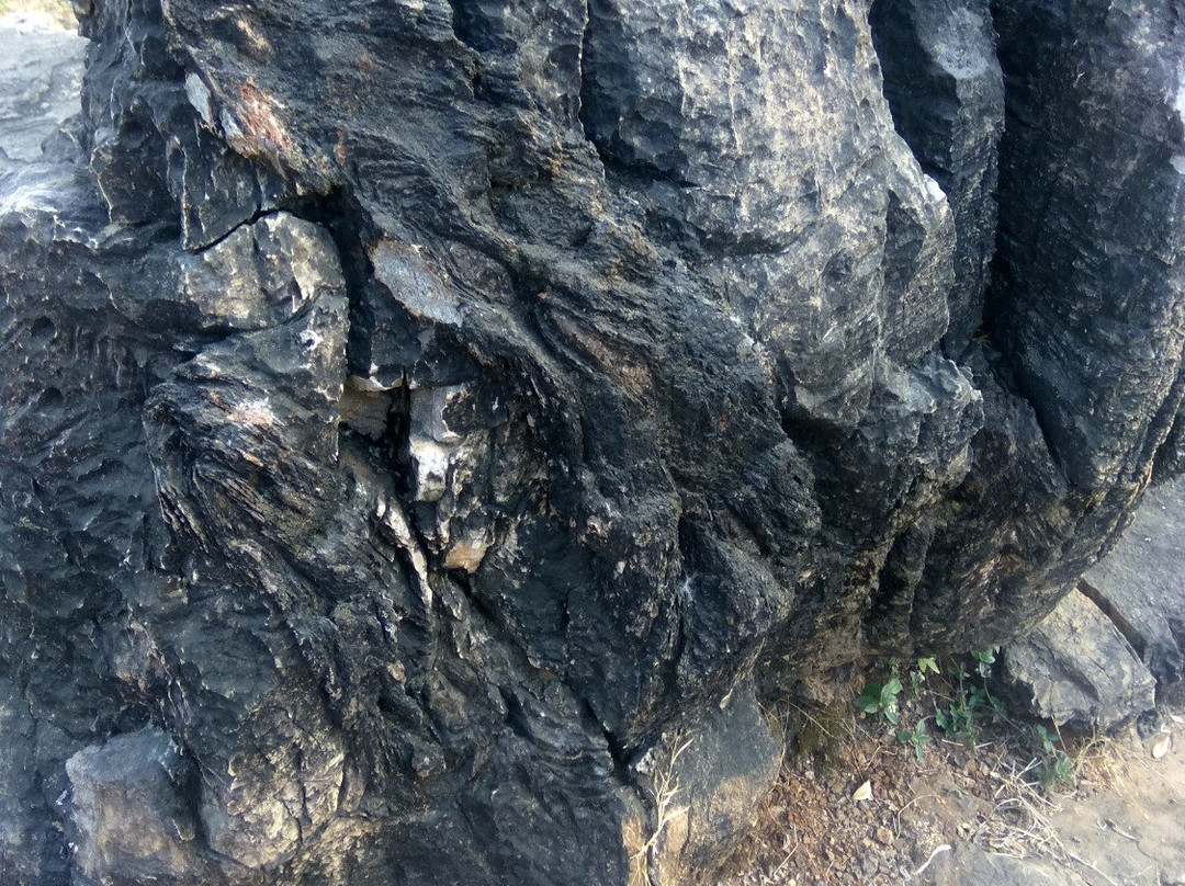 Salkhan Fossils Park-Robertsganj必去景点