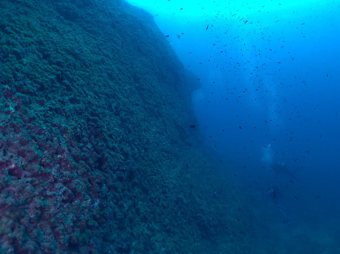 Buceo Cabo la Nao景点图片