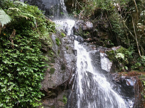 Cabreuva旅游攻略图片