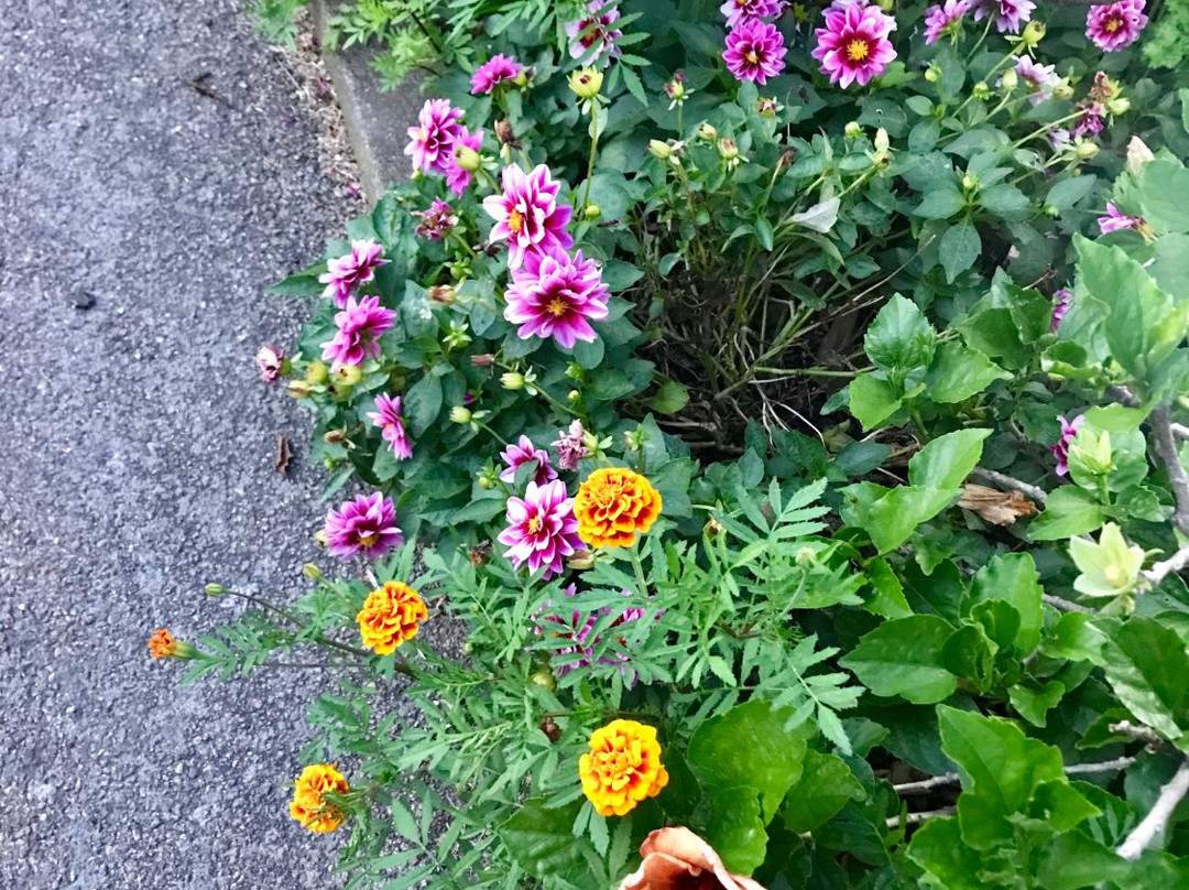 最佳西方海泉汽车旅馆主图