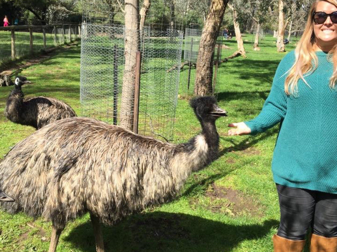 Cleland Conservation Park-阿德莱德必去景点