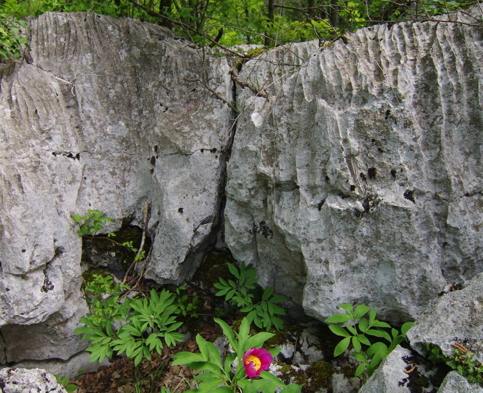 Karst Living Museum-Sezana必去景点