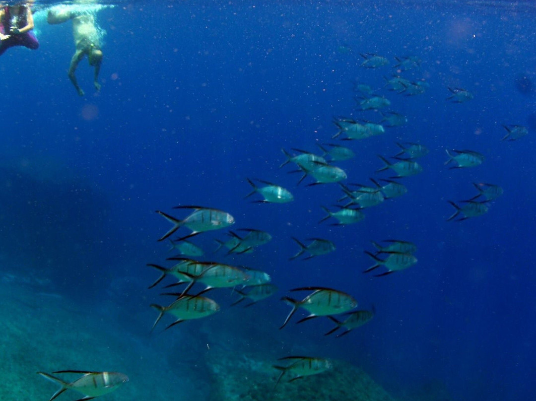 Laje de Santos-Sao Vicente必去景点