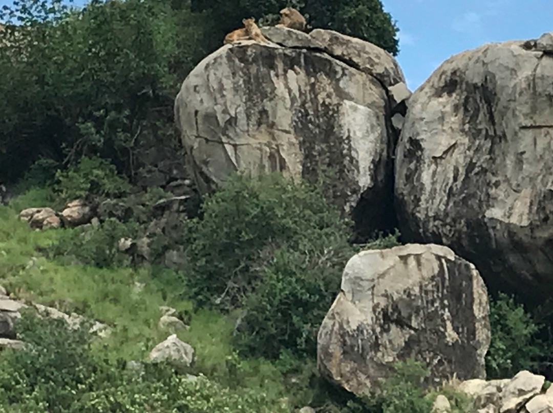 Pat Trekking and Safaris景点图片