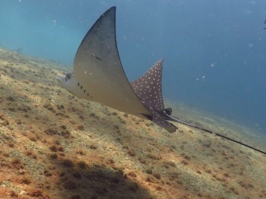 Laje de Santos-Sao Vicente必去景点