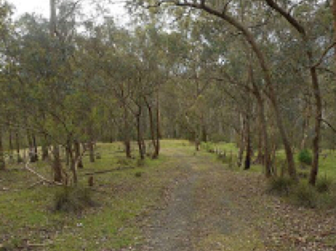 Longridge Park景点图片