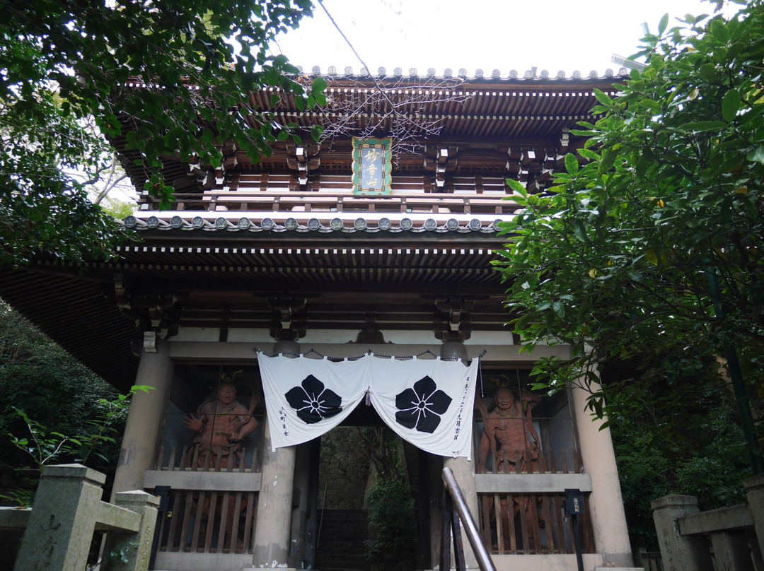 Kannonji Temple-大山崎町必去景点