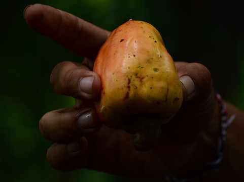 Mayong Trekking-Mayong必去景点