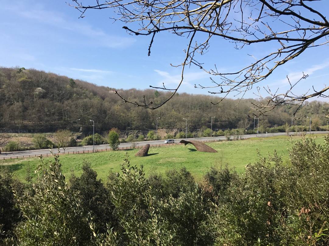 Bennett's Patch and White's Paddock-布里斯托尔必去景点