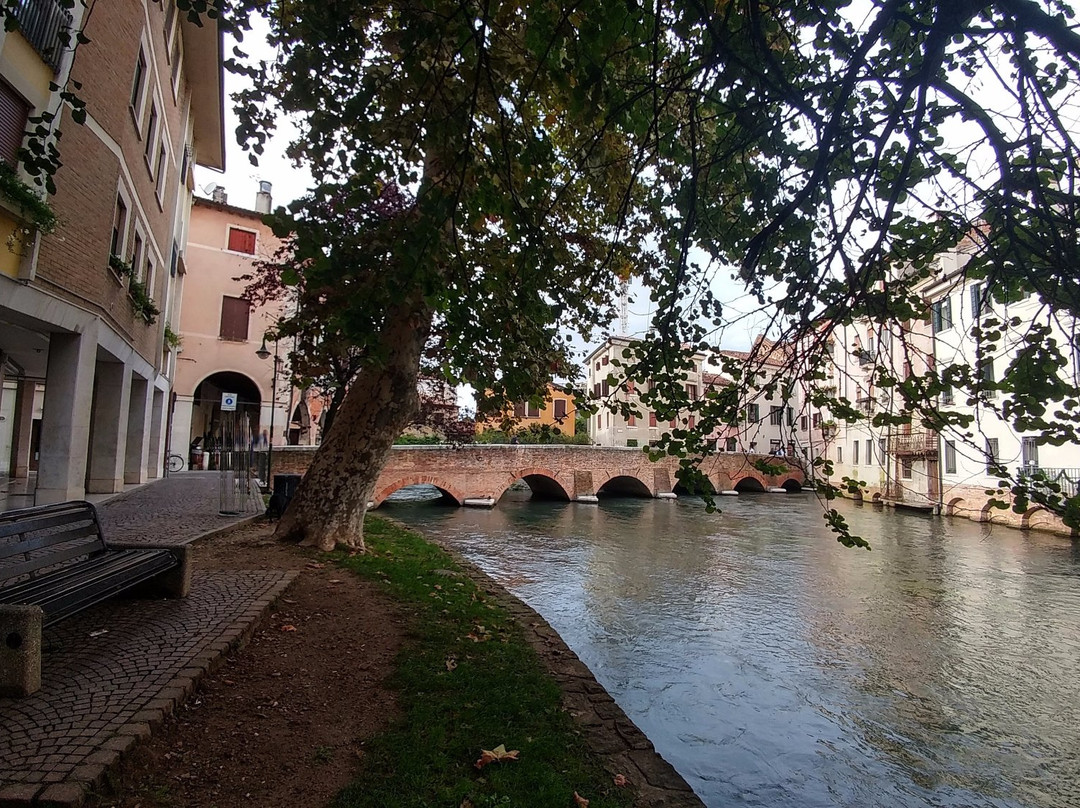 Ponte San Francesco-特雷维索必去景点