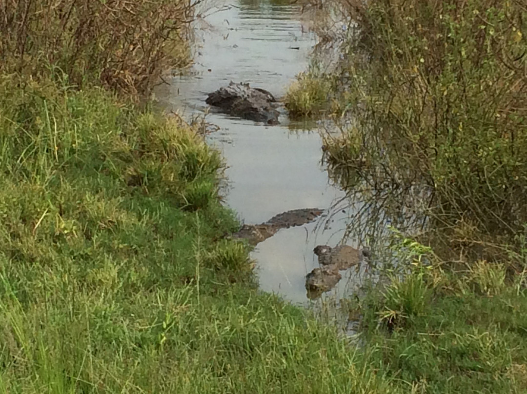 Paga旅游攻略图片