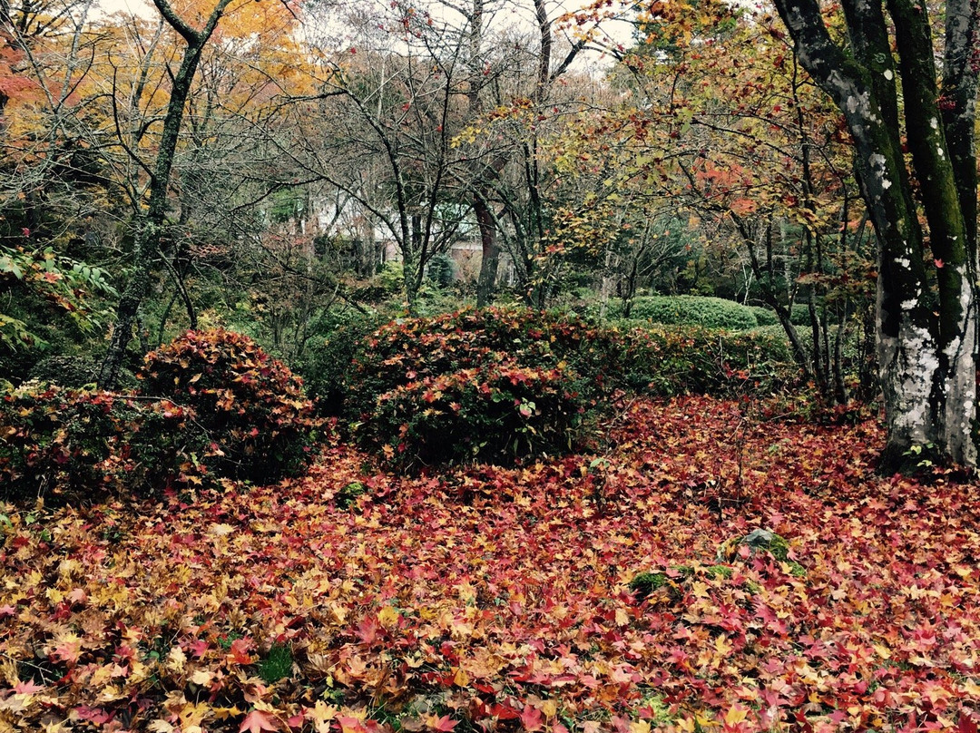 Jurigi Highlands-裾野市必去景点