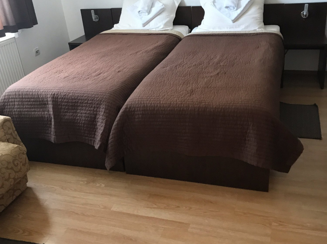 Garni Hotel Lion主图