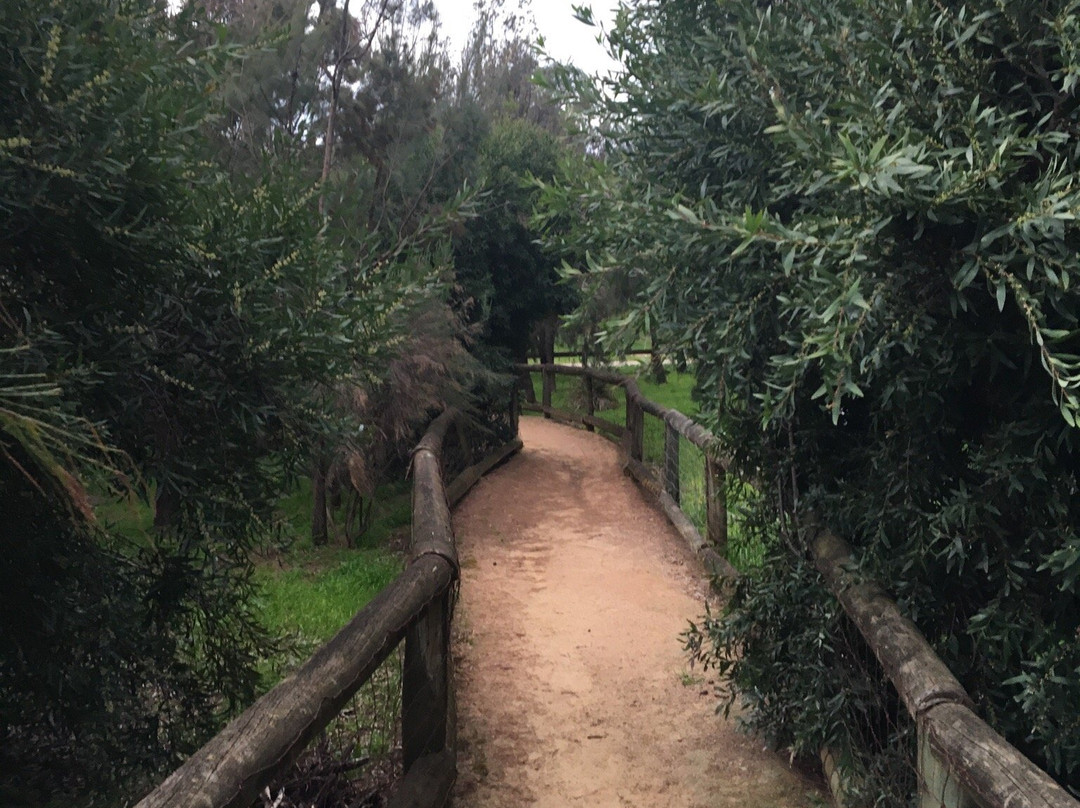 Casuarina Forest Reserve-Endeavour Hills必去景点