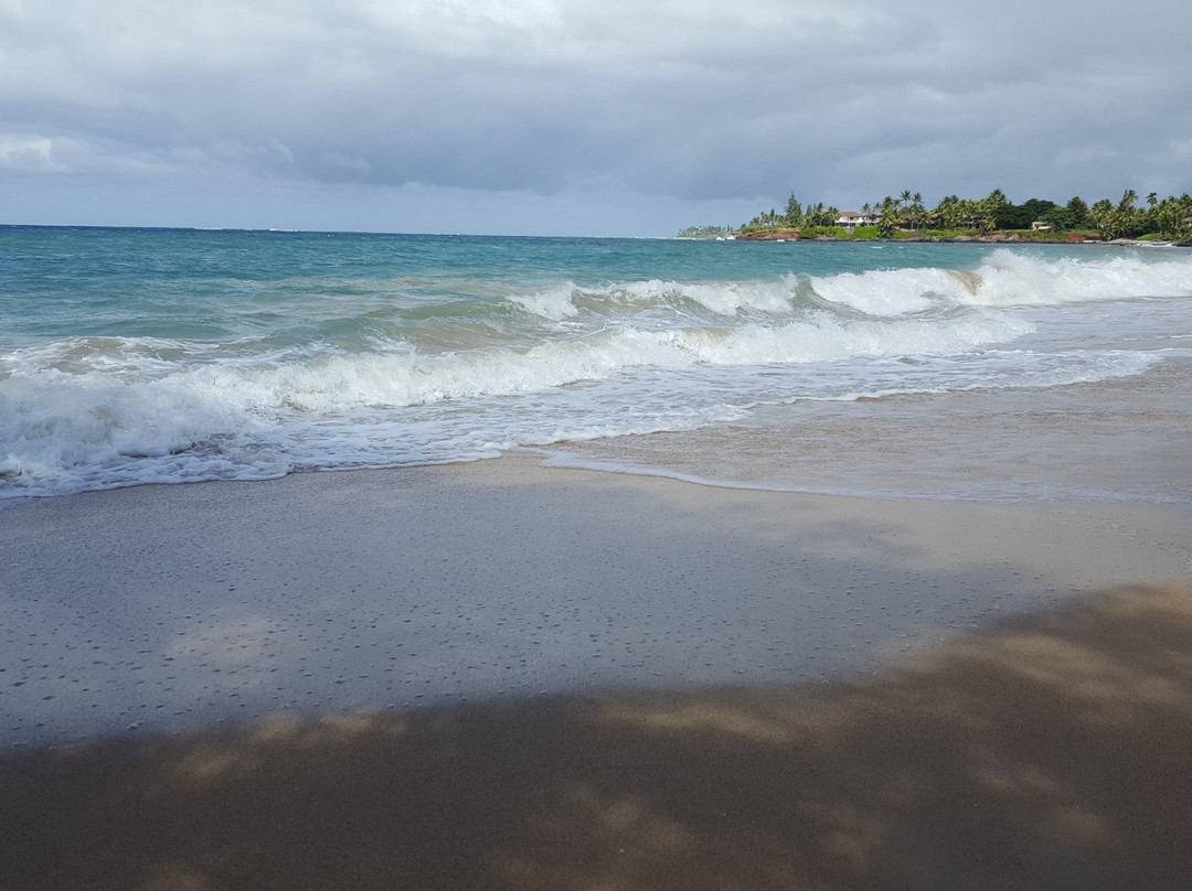 Lower Paia Park-芭雅必去景点