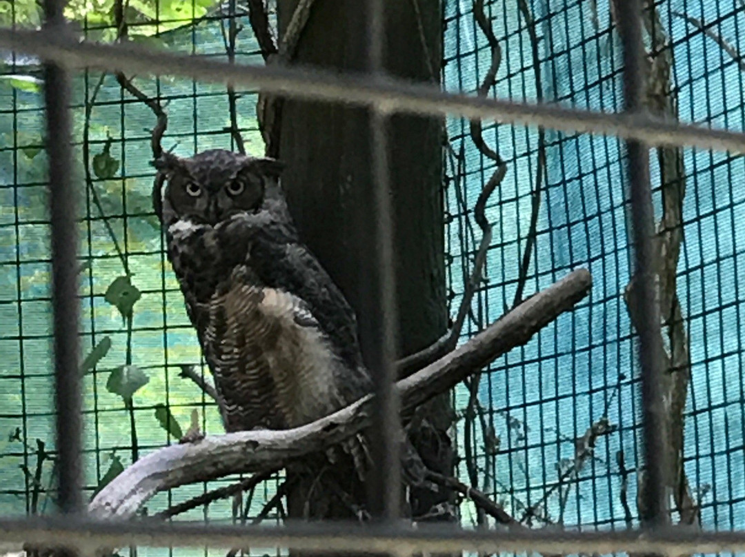 Trevor-Lovejoy Zoo-Millbrook必去景点