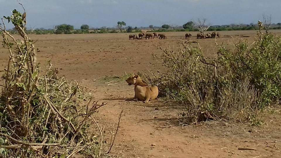 Sognando il Kenya-马林地必去景点