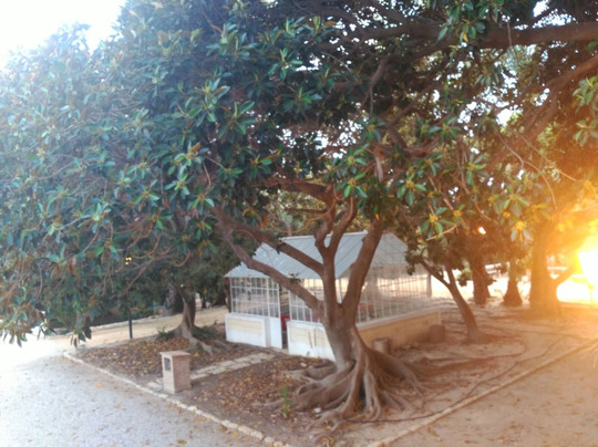 Villa Marco-坎佩略必去景点