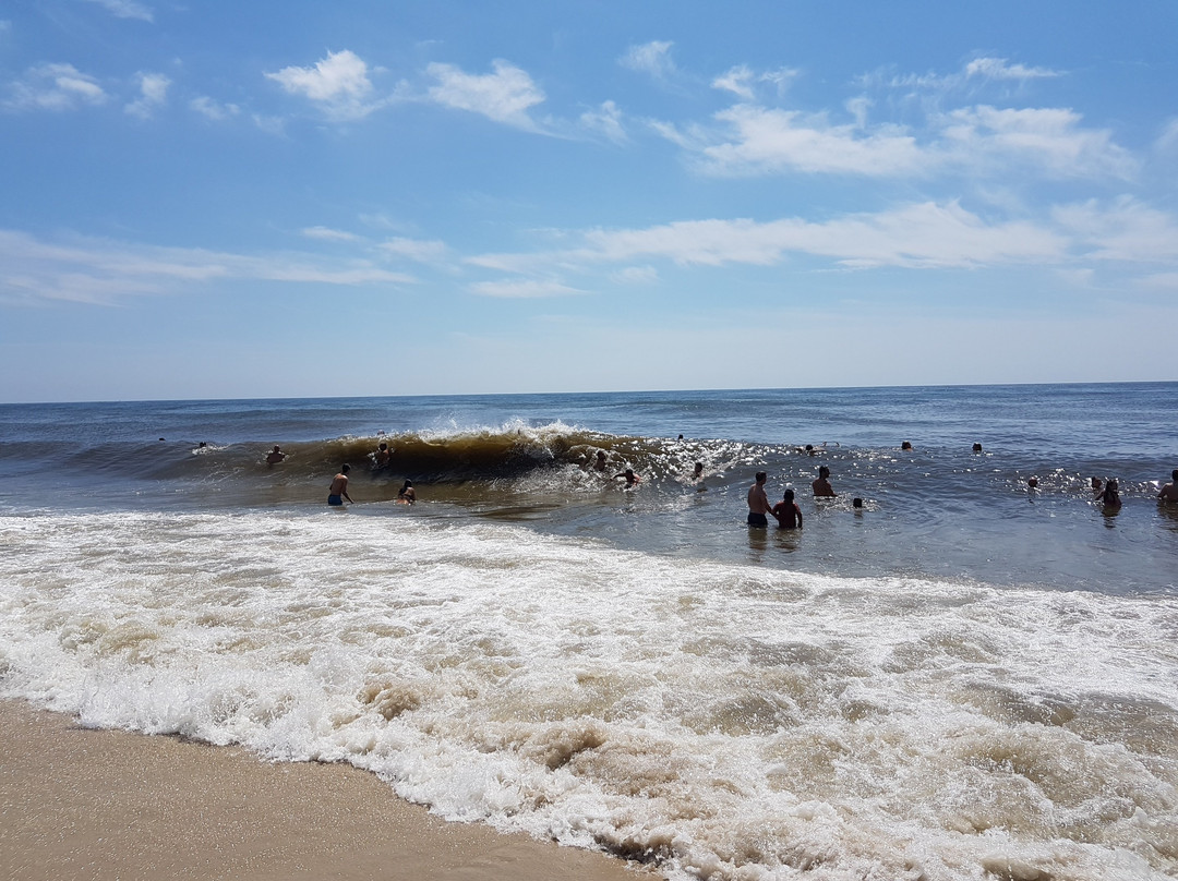 Ocean Beach景点图片