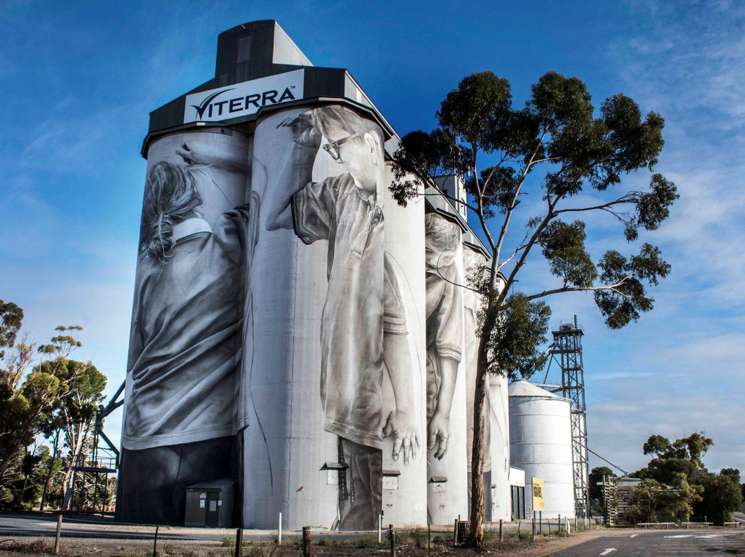 Coonalpyn旅游攻略图片