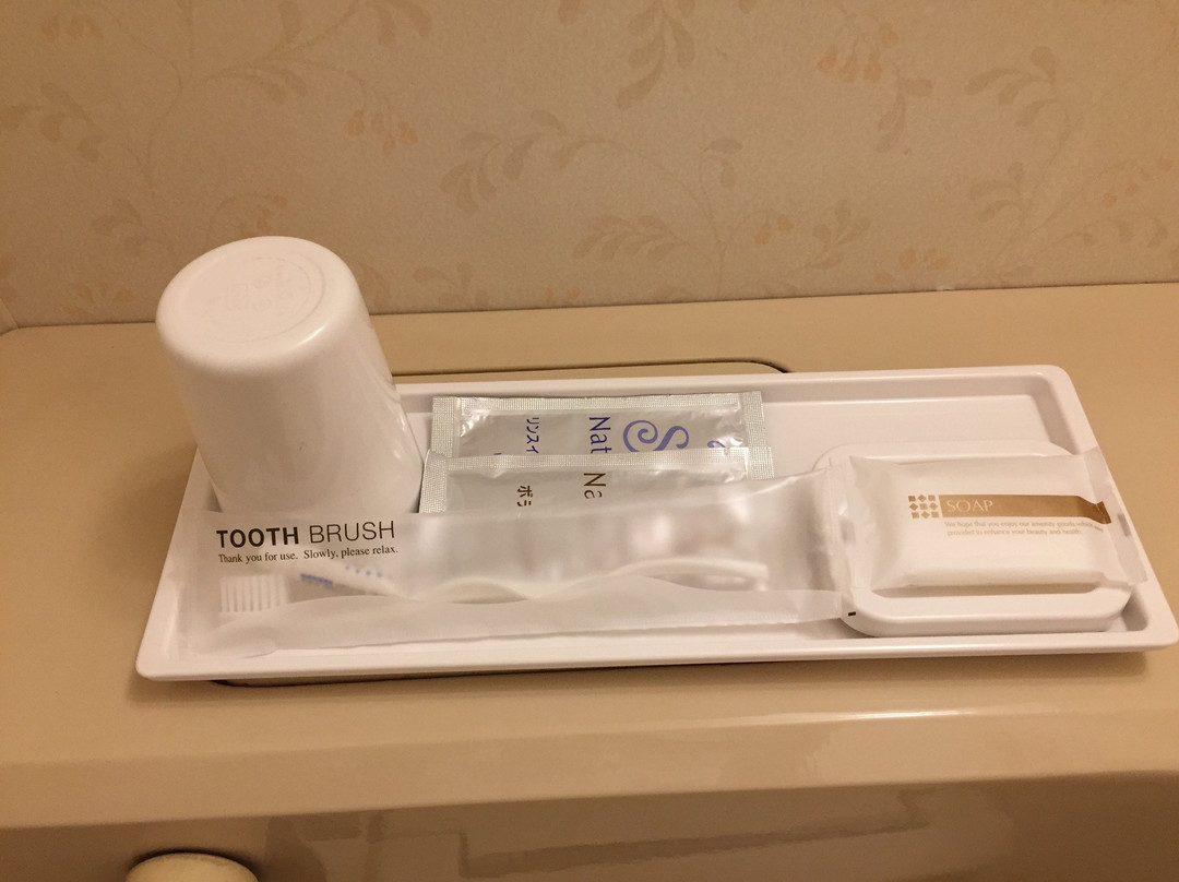 Higashi Matsuyama Daiichi hotel主图