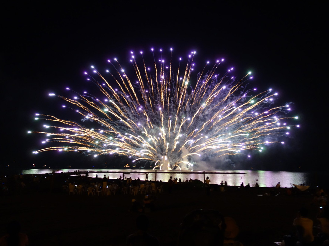 Tateyama Tourism Matsuri Tateyama Bay Fireworks景点图片