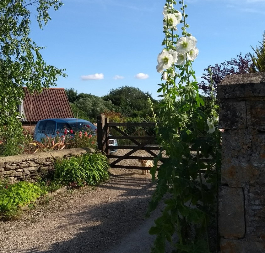 Talbot House B&B