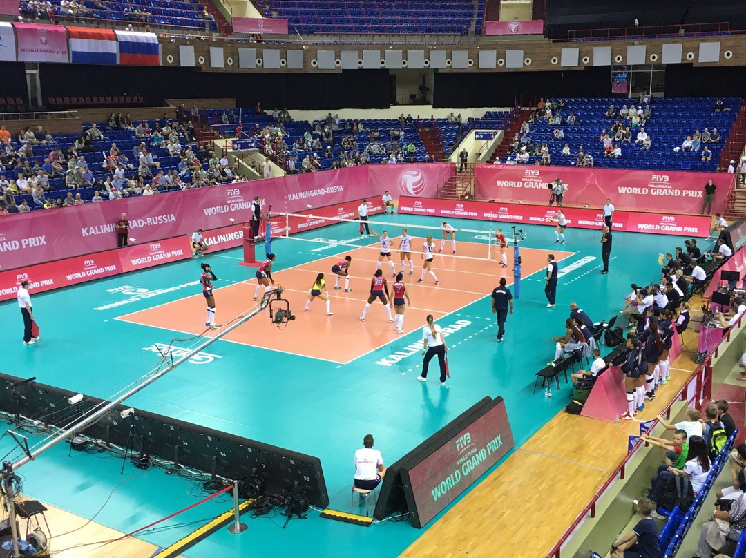 Sports Palace Yantarny景点图片