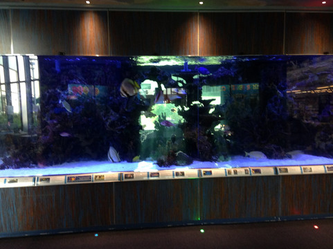 Thousand Oaks Grant R. Brimhall Library-千橡市必去景点