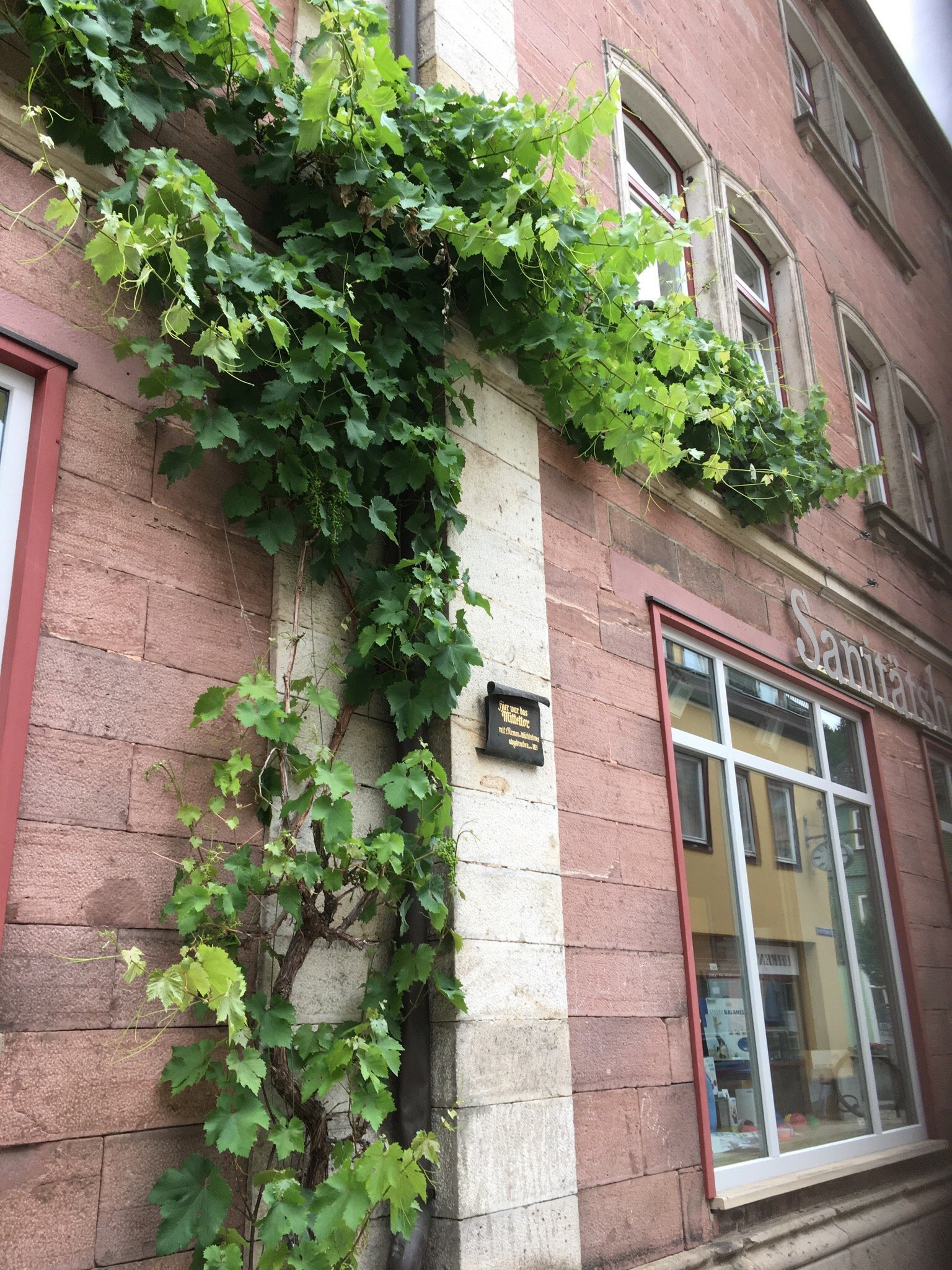 Pension & Café Sonnenkanzel-官方